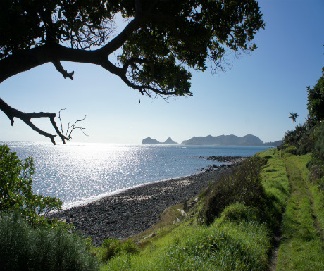 Walk to Little Island